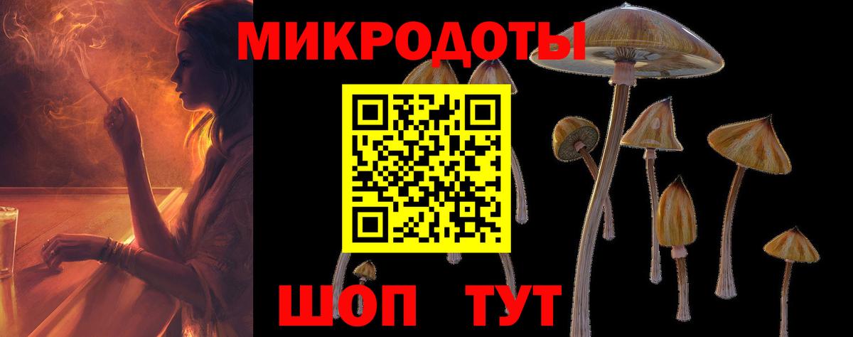 Псилоцибиновые грибы Psilocybe  Вход с VPN  Псилоцибиновые грибы Psilocybe  Заринск 