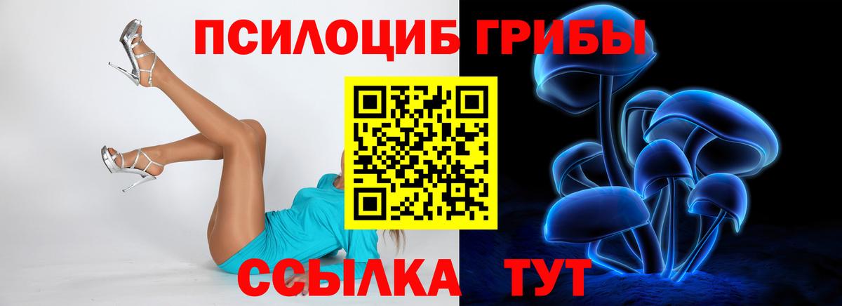 Псилоцибиновые грибы мухоморы Заринск